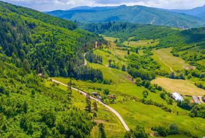 Teren de 7400 mp, în Tărlungeni - 2