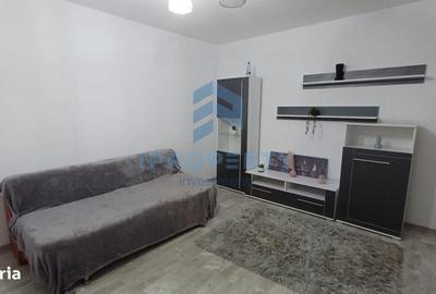 Apartament cu 2 camere, mobilat în Camil Ressu - 17