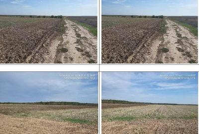 Teren extgravilan agricol Uliesti, ID: R2263433 - 4