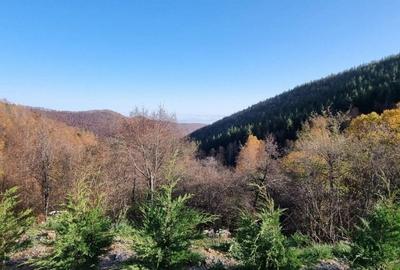 Casa de vacanta, 5 camere, 130 mp, teren 1000 mp, zona Valea Ierii - 9