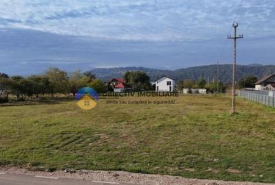 Teren de vanzare 1800 mp Dumbrava Ro?ie - 3