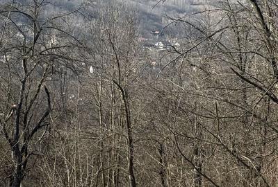 Teren Construcții intravilan de 2788 mp, în Central - 18