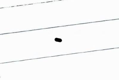 Teren de 2000 mp, în Negrilești - 1