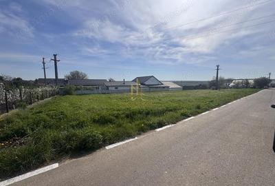 Teren de 1699 mp, în Moara - 1