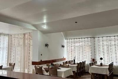 Spațiu comercial, de 700 mp, în Tăuții-Măgherăuș - 3