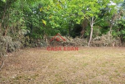 Teren intravilan in Banesti--2093mp--59.000e - 13