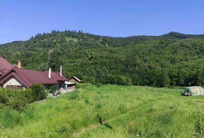 Spațiu comercial, în Straja - 2