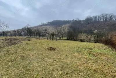 Casă cu Teren 6000 Mp în Tăuții-Măgherăuș