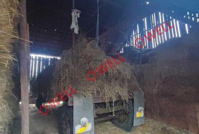 Spațiu comercial, în Chichiș - 7