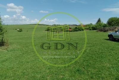 Teren agricol extravilan de 500 mp, în Exterior Sud - 2