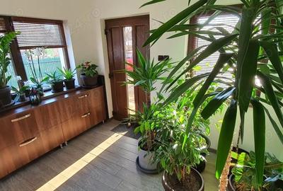 Casă cu 5 camere cu Teren 465 Mp în Mușcel - 8