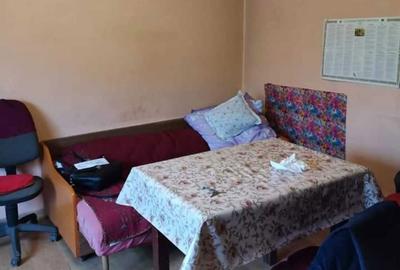 Casă cu 2 camere în Șincai - 6