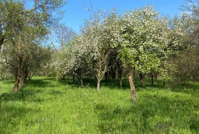 Teren de 2400 mp, în Ostrov - 4