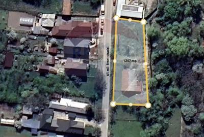 Teren intravilan de 1247 mp, în Nedelea - 7