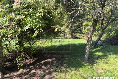 Casa veche, 3 camere, 978 m.p. teren, Grigorescu, locatie de vis - 8