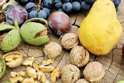 Casă cu 4 camere în Slava Cercheză - 3