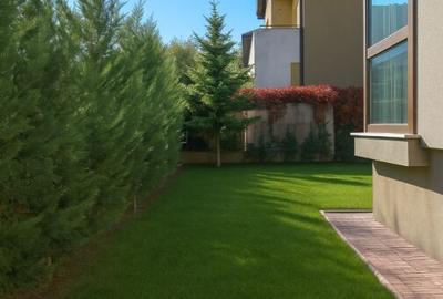 Casă individuală cu 6 camere cu Canalizare în Iancu Nicolae - 23