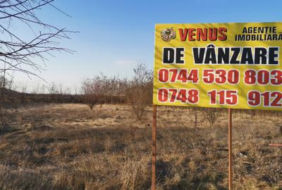 Teren Construcții intravilan de 1400 mp, în Periferie - 3