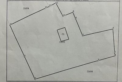 Spațiu comercial, în Curcani - 8