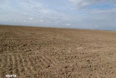 Teren de 5800 mp, în Scurtu Mare - 7