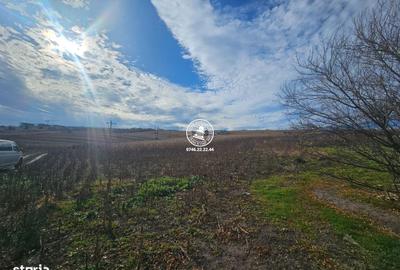 Teren de 11000 mp, în Miroslava