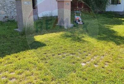 Hotel/Pensiune, de 1,650 mp, în Baia de Fier - 36