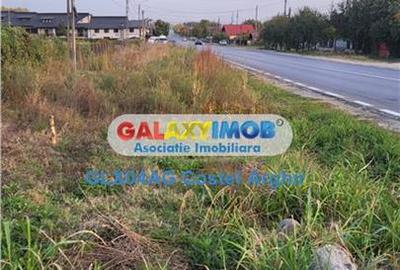 Teren Construcții intravilan de 54000 mp, în Călinești - 3