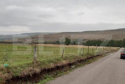 Teren de 5000 mp, în Fălticeni - 2