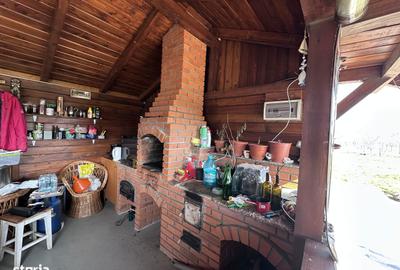 Teren de 3000 mp, în Mischii - 6