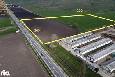 Teren de 40000 mp, în Ilișești - 5