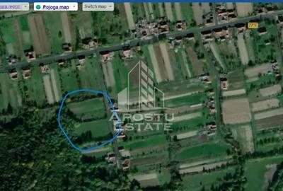 Teren de 10000 mp, în Pojoga - 5