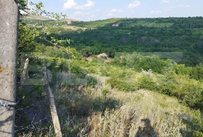 Teren de 3600 mp, în Central - 2