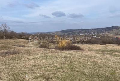 Teren Construcții intravilan de 11300 mp, în Bârnova - 2