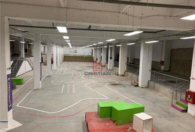 Depozit/hala/spatiu industrial Politehnica - Apaca - 11