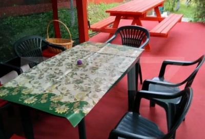 Casă cu 2 camere cu Teren 1153 Mp în Aurel Vlaicu - 5