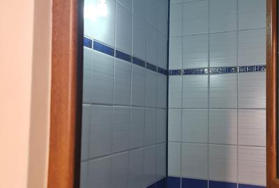 Apartament 3 camere/Spatiu birouri - Centru - Bd. Anastasie Panu - 9