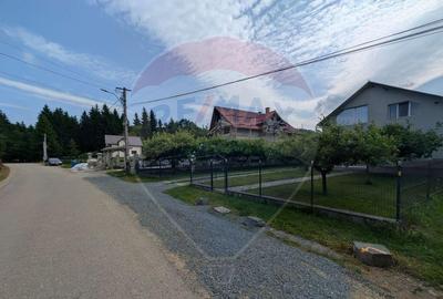 Teren intravilan de vanzare 2.444 mp - Targu Lapu? - 8