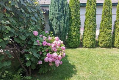 Casă cu 2 camere cu Teren 75 Mp în Central - 9