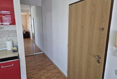 Garsonieră semidecomandată, mobilată în Zorilor - 10