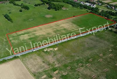 Teren de 69700 mp, în Tigveni - 6