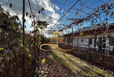 Casă cu 4 camere cu Canalizare în Negri - 16