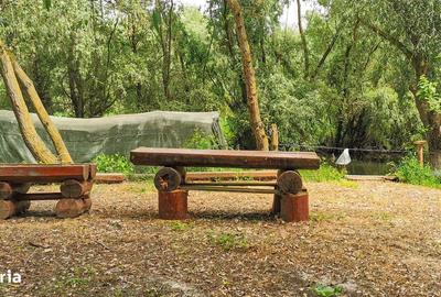 Casă cu Teren 1500 Mp în Murighiol - 3