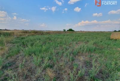 Teren Construcții intravilan de 622 mp, în Chișoda - 7