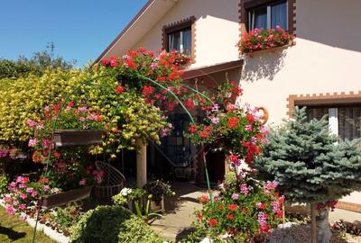 Casa / Vila cu 6 camere de vanzare - 3