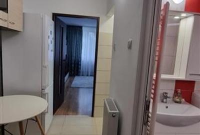 Garsonieră decomandată, mobilată în Țiglina 1 - 7