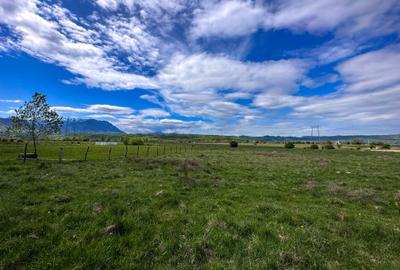 Teren Bran Zarnesti 3 km Castelul Bran 25 km Brasov Teren Bran Zarnesti 3 km Castelul Bran 25 km Brasov - 7