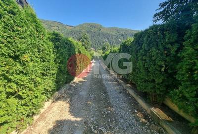 Pensiune 20 camere castelul Bran - 4