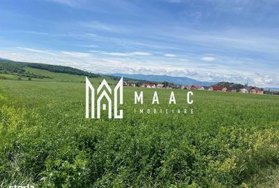 Teren de 45200 mp, în Cristian - 4