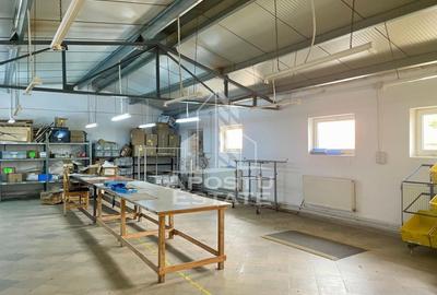 Spatii productie si depozitare, zona Sebis - Prunisor-Carand - 14