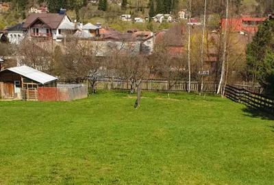 Teren de 1000 mp, în Central